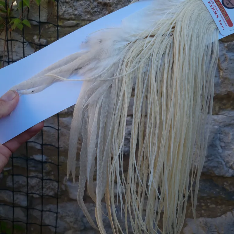 Whiting 1/2 BRONZE Grade Dry Fly Rooster Saddle in White-2